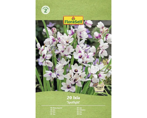 Verpakking met 20 Ixia Spotlight bloembollen van het merk FloraSelf
