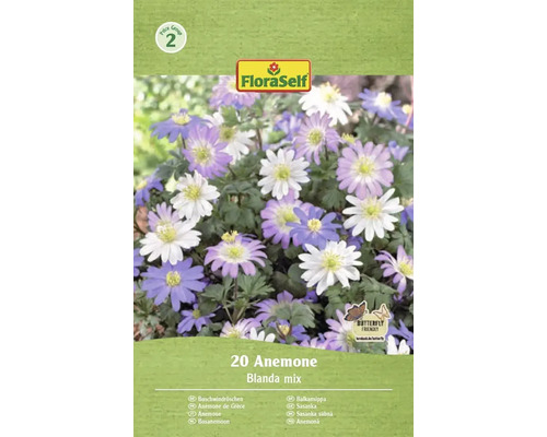 FLORASELF Bloembollen Bosanemoon Anemone Blanda Mix 20 st FloraSelf 20 Anemone Blanda mix verpakking