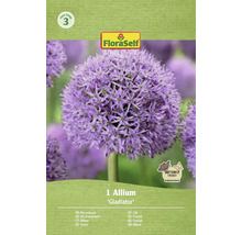 Sierui Gladiator bloembol