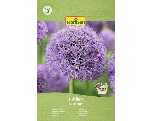 FLORASELF Bloembollen Sierui Allium Gladiator 1 st Sierui Gladiator bloembol