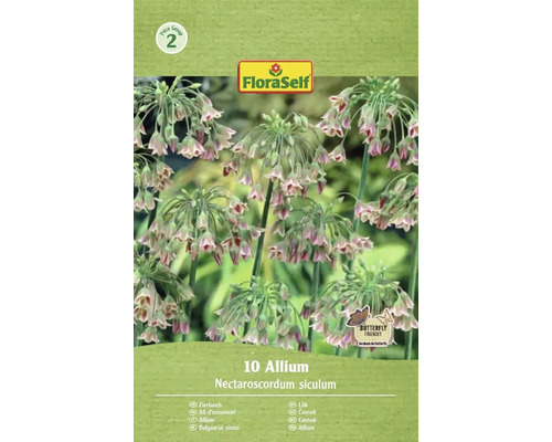 FLORASELF Bloembollen Sierui Allium Siculum 10 st Verpakking met 10 stuks Allium Nectaroscordum siculum zaden
