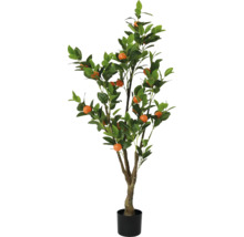 Decoratieve sinaasappelboom in pot