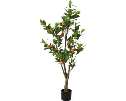 Decoratieve sinaasappelboom in pot