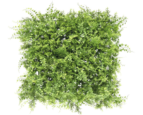 Wandpaneel kunsthaag Varen 38x38 cm Kunstplantenmat met verschillende groene bladeren