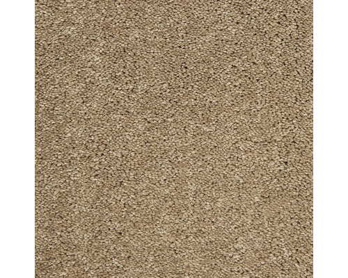 Tapijt frisé Proteus greige 400 cm Close-up van een tapijt