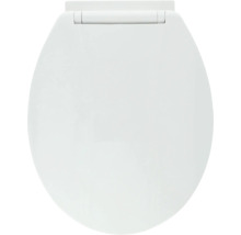 Toiletdeksel van kunststof, gesloten