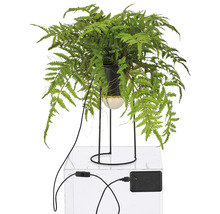 Kunstmatige varen in een pot met standaard en stroomkabel