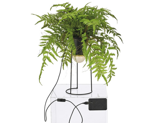 Kunstmatige varen in een pot met standaard en stroomkabel