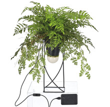 Kunstvaren in zwarte pot met metalen standaard en USB-aansluiting voor binnenshuis