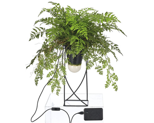 Kunstvaren in zwarte pot met metalen standaard en USB-aansluiting voor binnenshuis