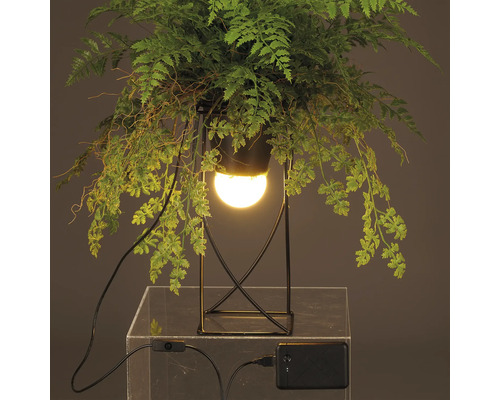 Decoratieve tafellamp met plant en ledlamp