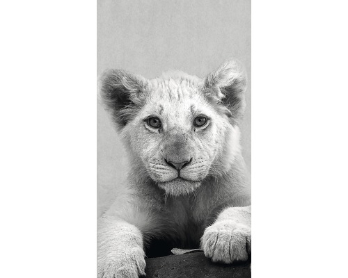 PURE LIVING Decopaneel Young Lion 15x30 cm