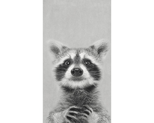 PURE LIVING Decopaneel Young Racoon 15x30 cm