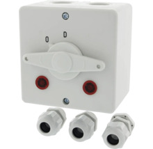 Opbouw wisselschakelaar met wartels