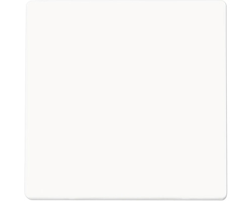 ION INDUSTRIES V1/J1 Bedieningswip enkel alpin wit glans Vierkante tegel