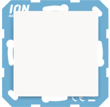 ION Industries Logo
