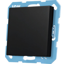 Zwarte lichtschakelaar met frame