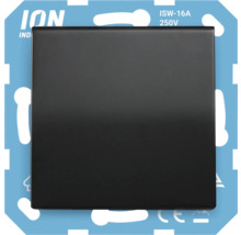 Zwarte lichtschakelaar