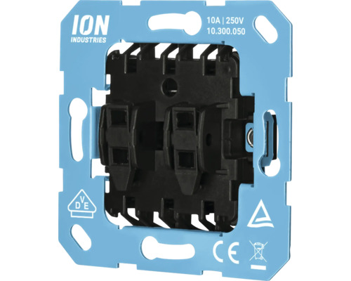 ION Industries Wisselschakelaar 10 ampère 250 volt