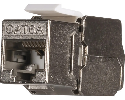 uu出品 ION INDUSTRIES Connector UTP - Cat6 kopen! | HORNBACH
