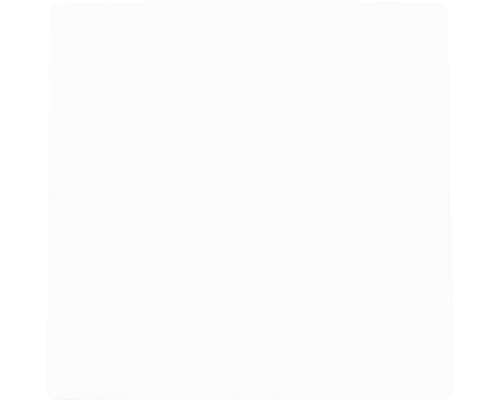 ION INDUSTRIES E1 Bedieningswip enkel alpin wit glans Witte afbeelding