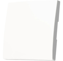 Schakelaar afdekplaat