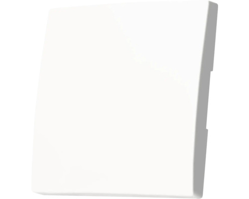 Schakelaar afdekplaat