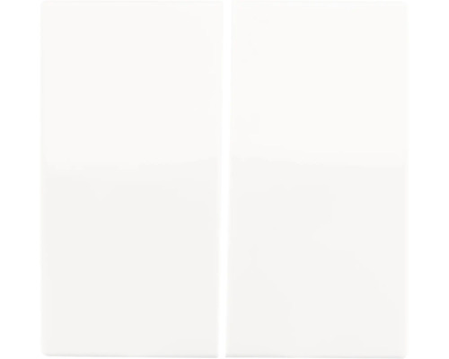 ION INDUSTRIES E1 Bedieningswip dubbel alpin wit glans Twee witte panelen