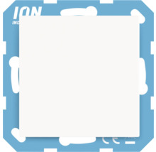 ION Industries Logo