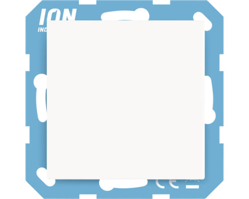ION Industries Logo