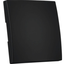 Zwarte inspectieklep