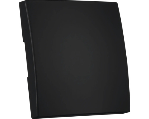 Zwarte inspectieklep