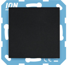 ION Industries Logo
