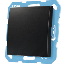 Zwarte lichtschakelaar met frame