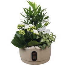 Plantenbak met groene planten en witte bloemen