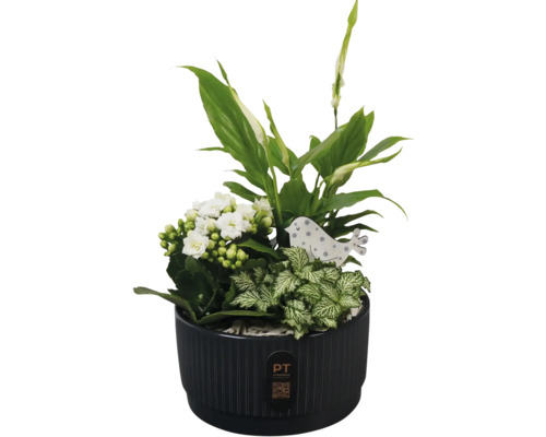 Arrangement van verschillende groene planten en witte bloemen in een pot met vogeldecoratie