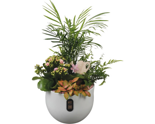 Kamerplantenarrangement in een witte sierpot met een houten decoratie