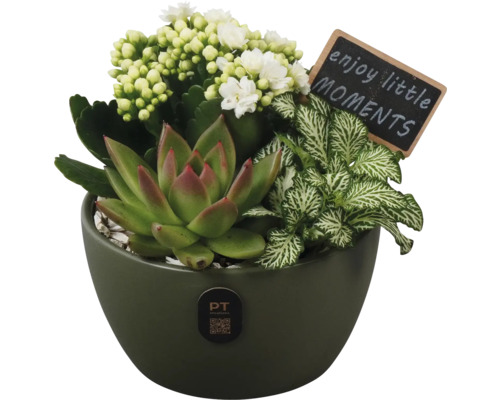 Bloemstuk met vetplant, bloemen en decoratief bord in een pot