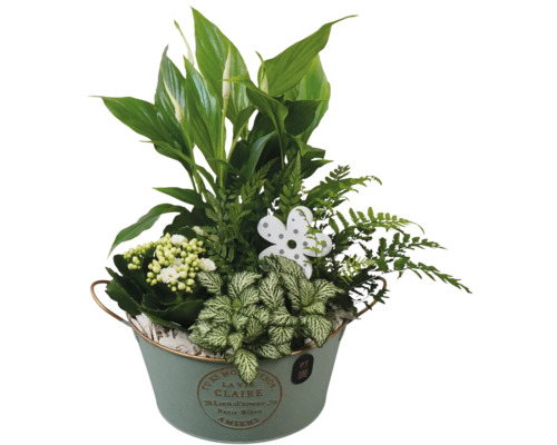 Bloemstuk met vredeslelie, varen en Kalanchoë in een zinken emmer