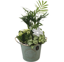Plantenarrangement in pot met palm, kamerplanten en decoratieve bloem