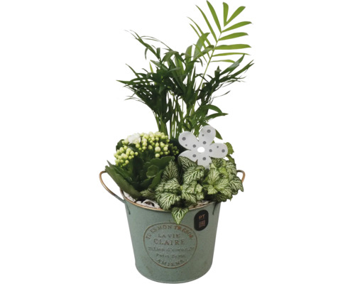Plantenarrangement in pot met palm, kamerplanten en decoratieve bloem