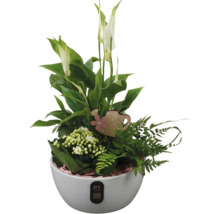 Bloemstuk met vredeslelie, kamerplanten en decoratie in witte pot