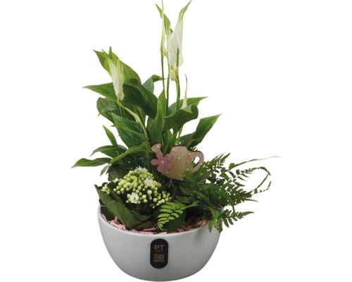 Bloemstuk met vredeslelie, kamerplanten en decoratie in witte pot