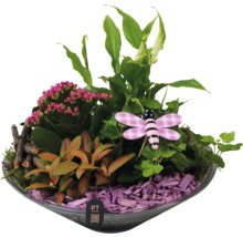 Arrangement met kamerplanten, houtsnippers en decoratief figuur in een schaal