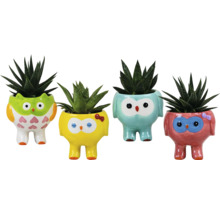 Vier decoratieve bloempotten in de vorm van een uil, beplant met vetplanten