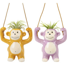 Twee hangende apen plantenbakken met planten