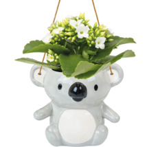 Hangplant met witte bloemen in koalabloempot