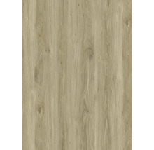 Houtdecorplaat met houtnerf