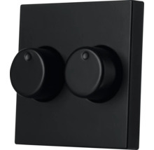 Schakelaar met twee draaiknoppen