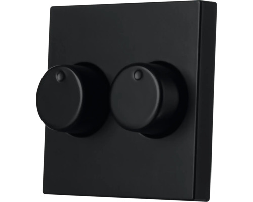 Schakelaar met twee draaiknoppen